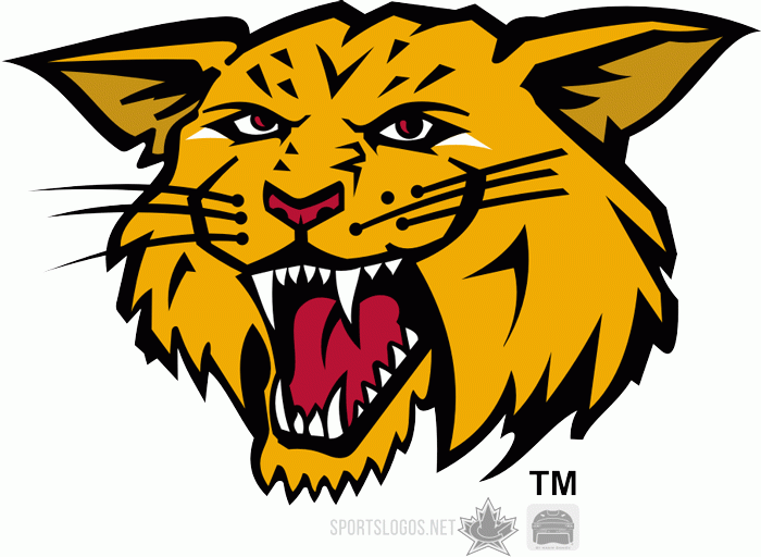 moncton wildcats 2003-2009 alternate logo iron on transfers for clothing